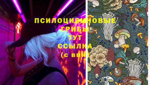 спиды Верея