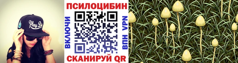 Псилоцибиновые грибы Magic Shrooms  Игра 